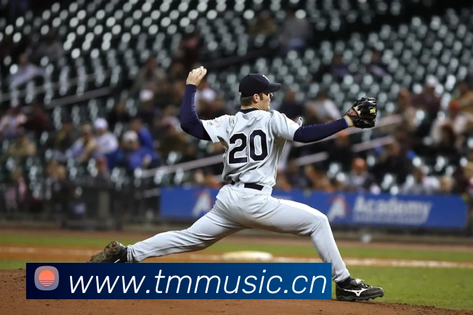 华体育app官网登录入口平台生态图